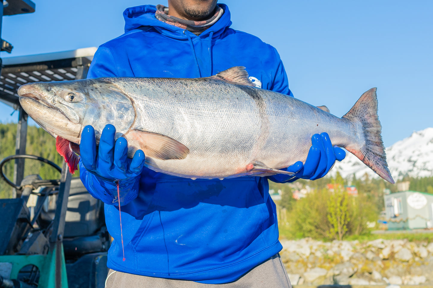 Copper River King Salmon